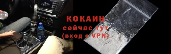 крисы Новодвинск